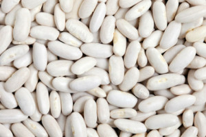 Whiet Kidney Beans
