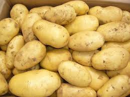 Fresh Potatoes